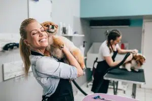 How to start a dog grooming business at home UK