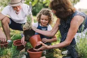 Garden centre legal issues 