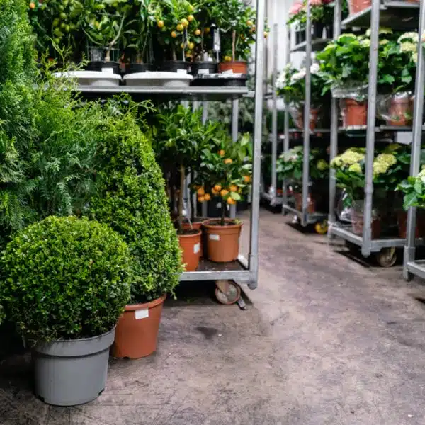 Garden centre sector trends