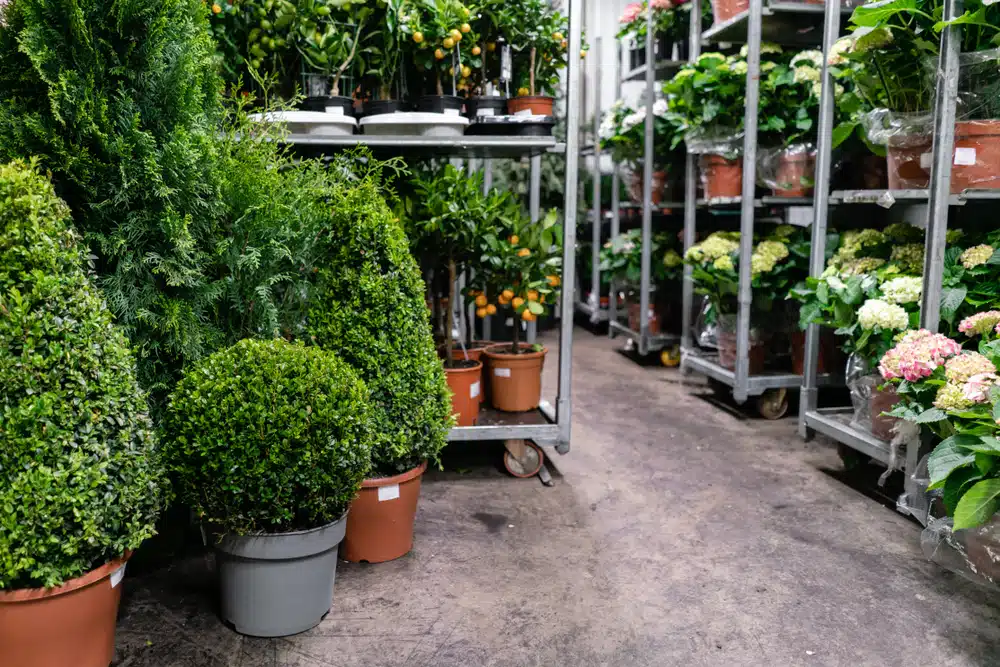 Garden centre sector trends