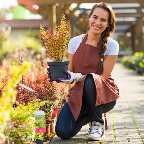 What licences does a garden centre need?