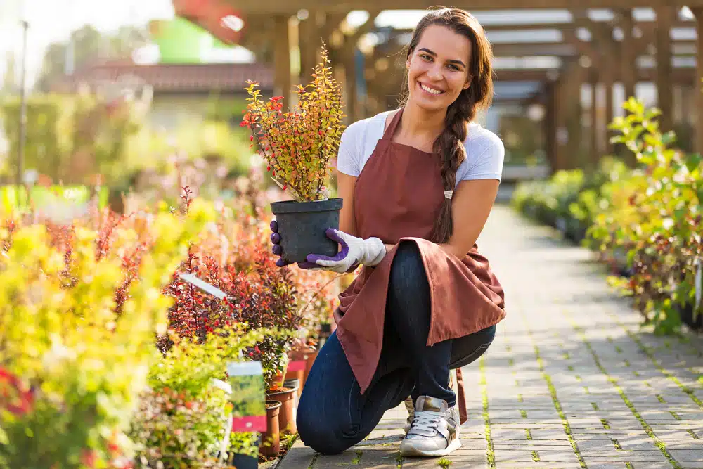 What licences does a garden centre need?