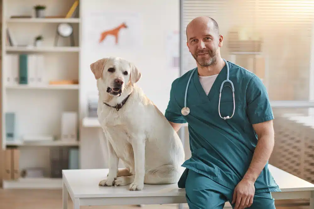 Veterinary sector trends