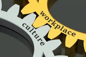 What is workplace culture?